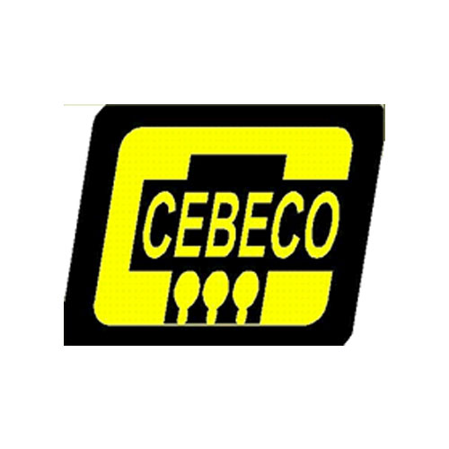 Cebu Electric Cooperative, INC. (CEBECO3)