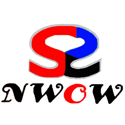 Nwow Marketing